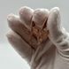 Серебряные серьги &laquo;Феникс&raquo; с позолотой и кубическим цирконием 620-9 фото 8